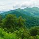 The Atlantic Coast Pipeline was supposed to run through this Blue Ridge Parkway, but this halt will keep it safe—for now.